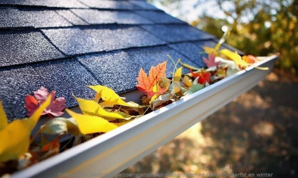 Seizoensgebonden rioolproblemen Geldrop: herfst en winter