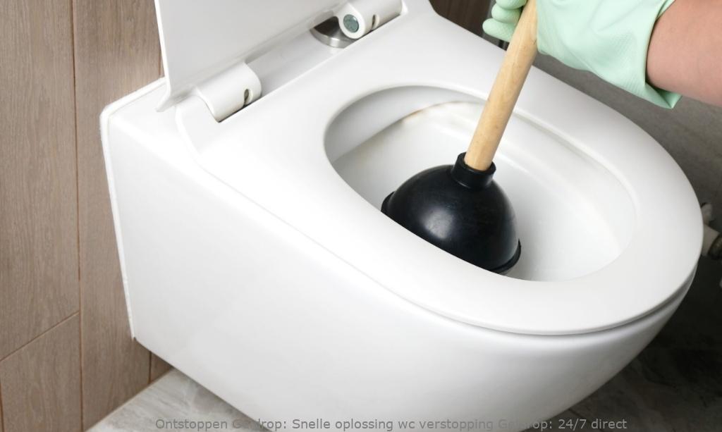 Snelle oplossing wc verstopping Geldrop: 24/7 direct